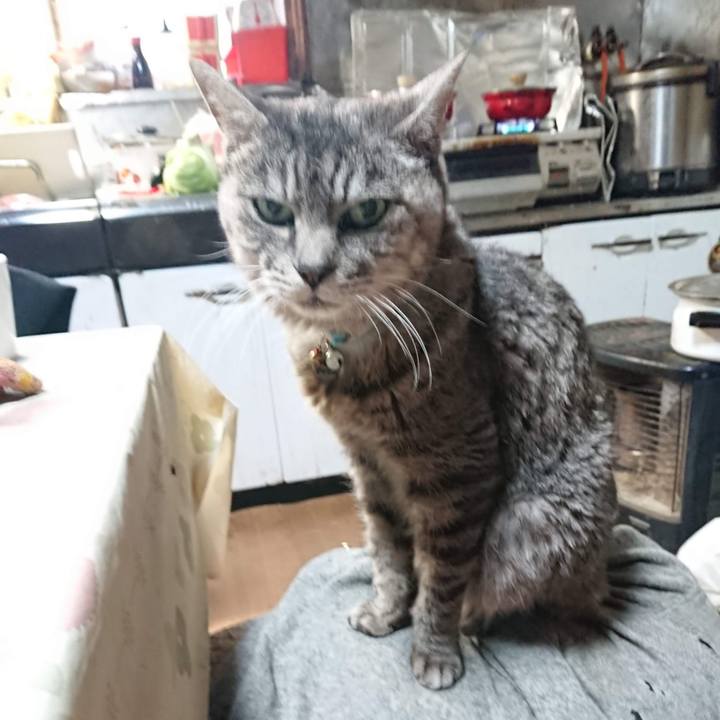 9b78c7f0 70bf 4801 b109 f4895b10aea3 1605995804931