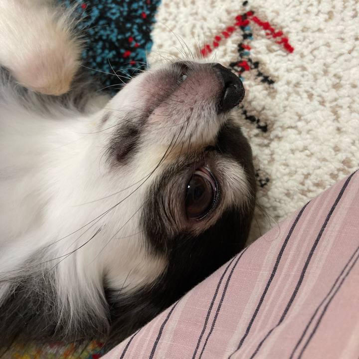 9b78d56a bec8 4f80 b98d b35c567fc790 1696171297248