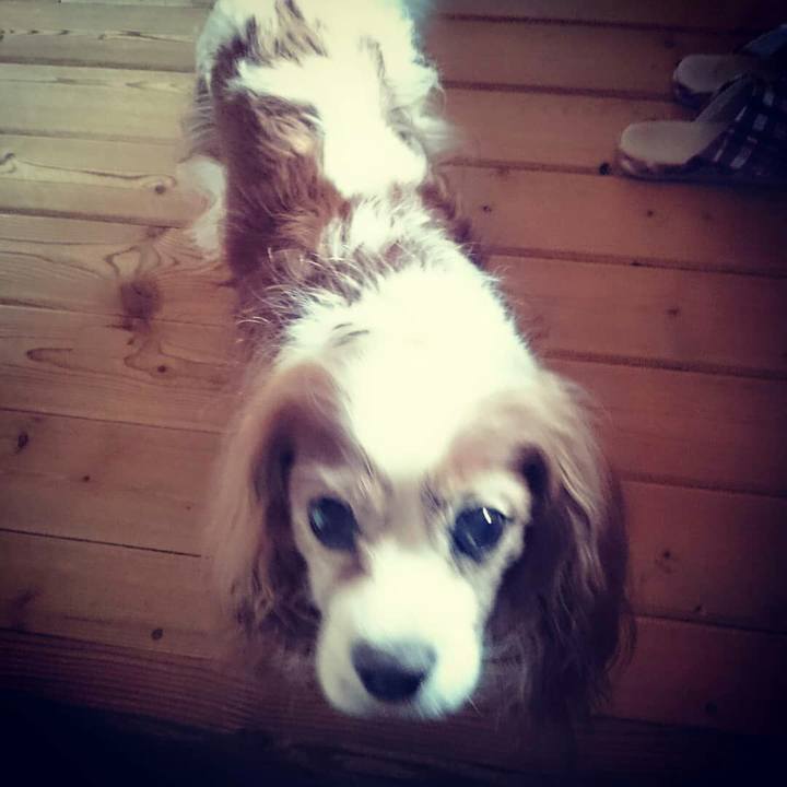 9b78e464 9fbc 4c1d 9d67 4c46d177df68 1529052734201