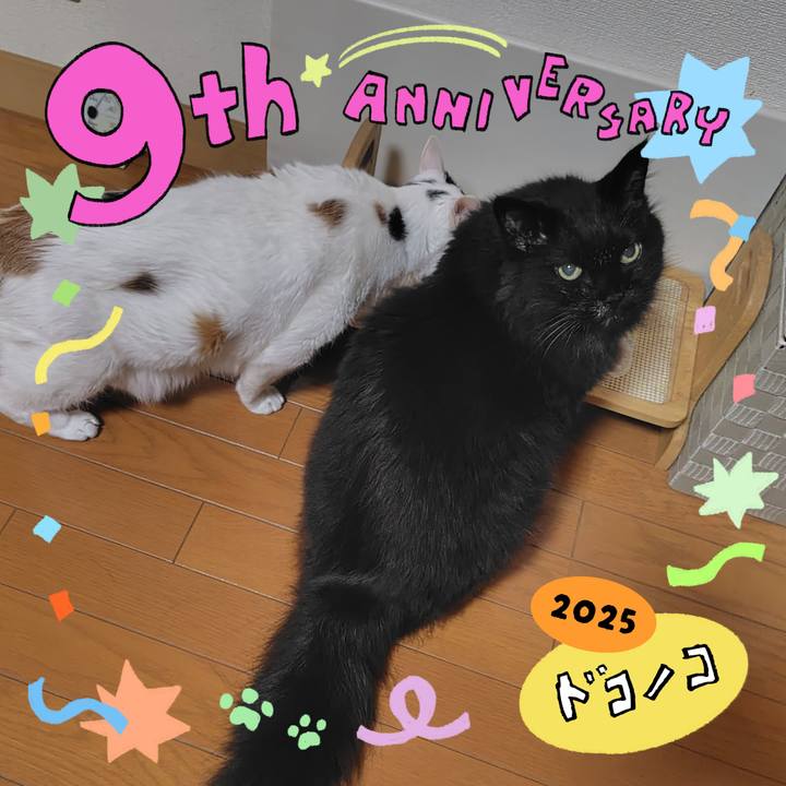 9b78f1e9 75b6 453e a35c eb0ab730c793 1749297921857