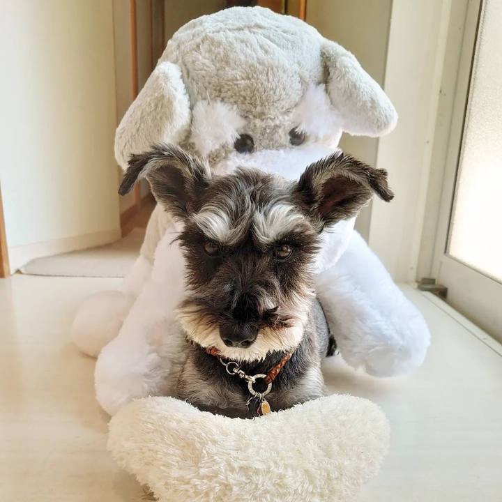 9b78fcb0 7bd4 4b8d 94cc 2be5290bf955 1662033428982