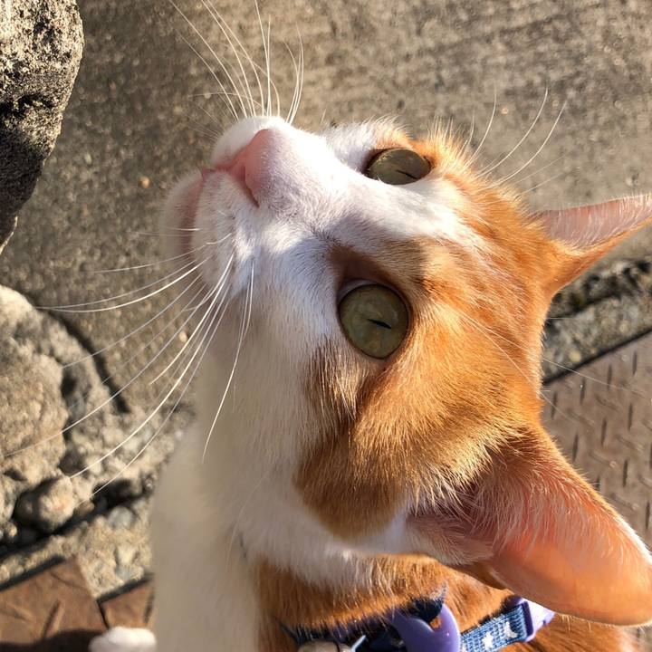 9b791bea eebb 4015 8293 5898946fbd27 1543303977945