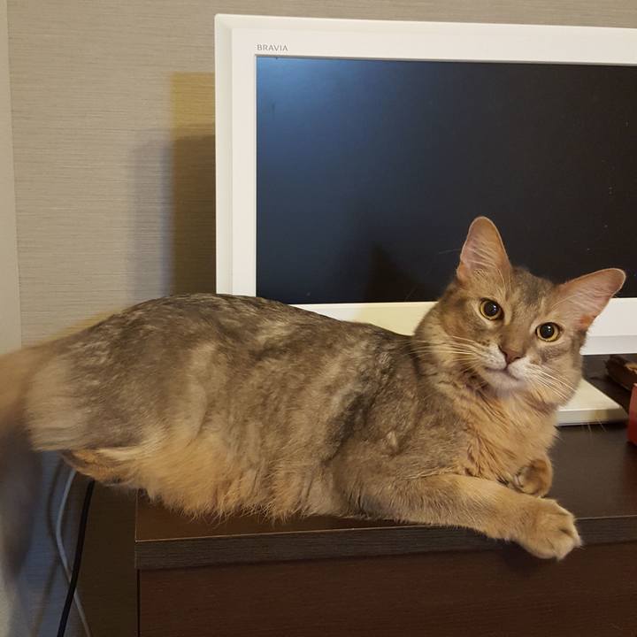 9b792440 530b 433c 83bb e3a79e419d1e 1572610227780