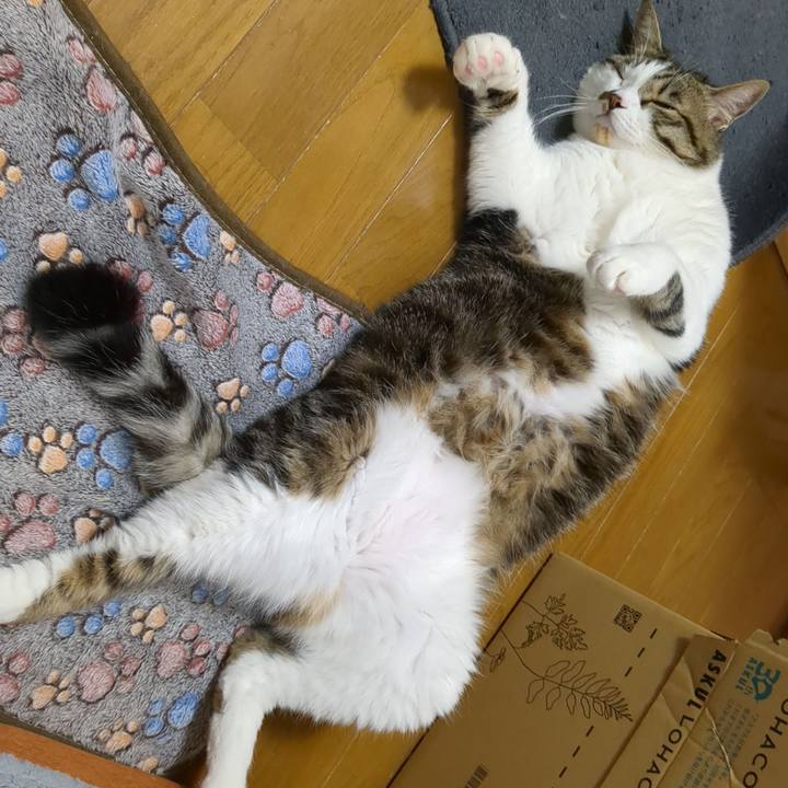 9b792de4 b7a6 423c 90d1 17ccd909da48 1683889805333