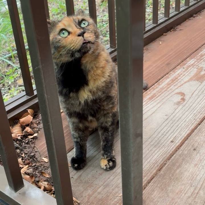 9b797d5e 5aaf 4848 a30c f1564e5181fa 1756605915073