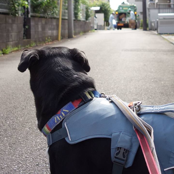 9b7992a2 9b35 4728 a0a3 bfc0cf1583c2 1716338033565