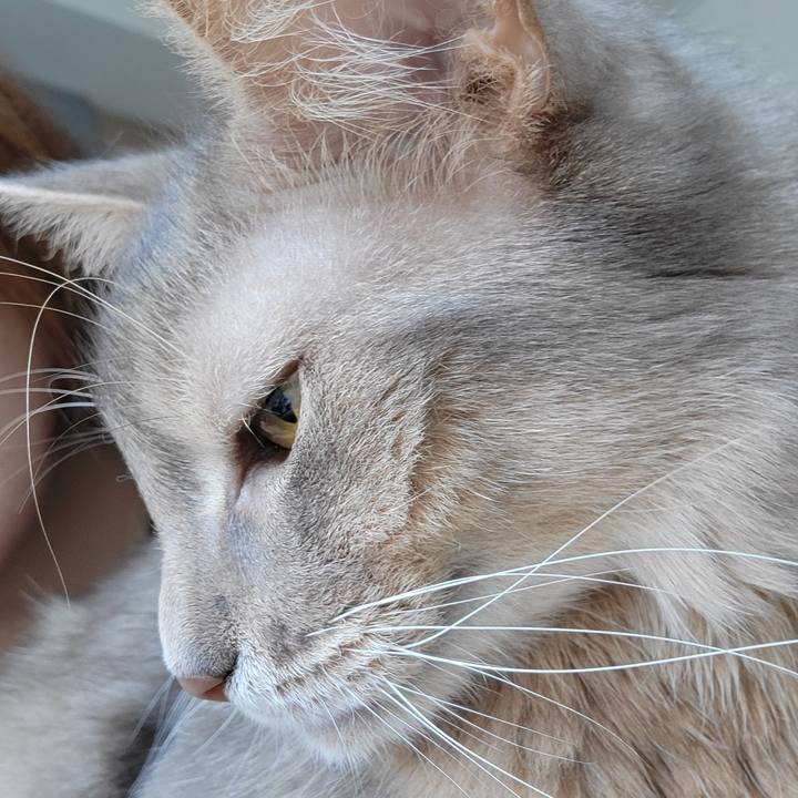 9b79cada 4ae1 4f3d 85ed ed698fb0705c 1656329165508