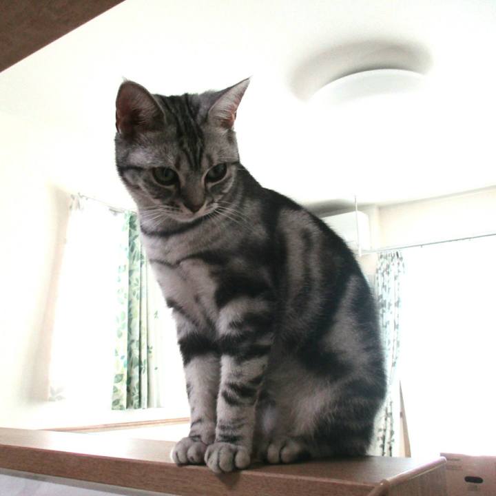 9b79d2a4 74e3 4b37 8dc1 bcb044f66f65 1559597675689