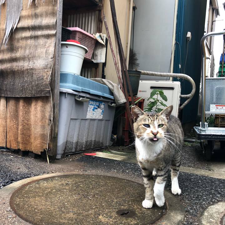 9b79e5cb e2aa 4fe2 a876 5c0a6d8e5ad1 1537021030101