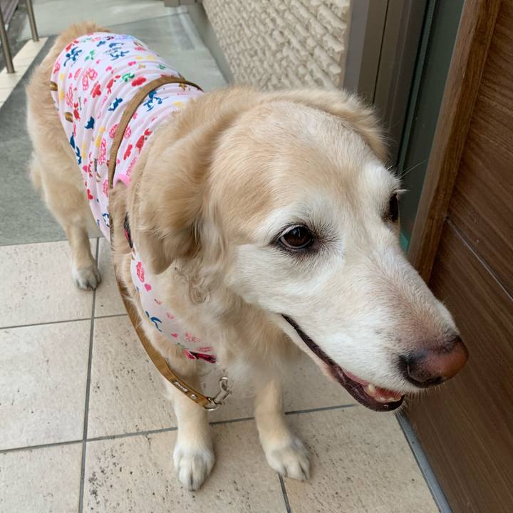 9b79e670 93e9 45e0 b174 33cd67597ee5 1625360307228