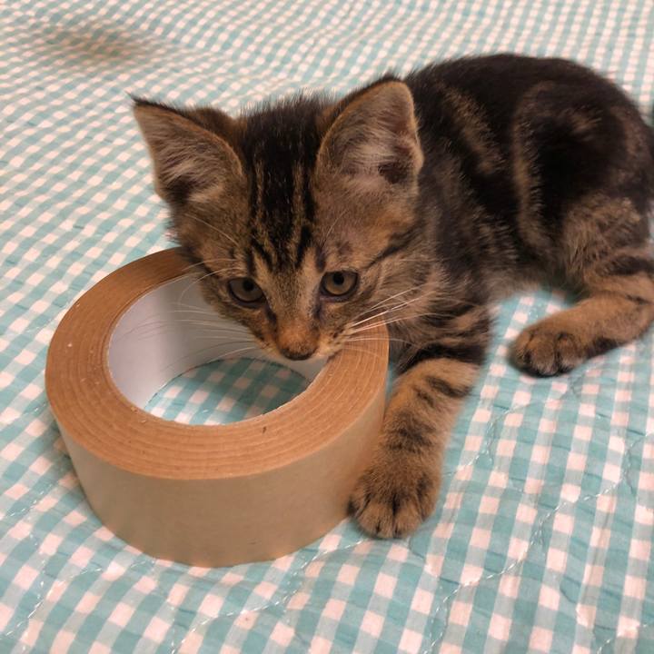 9b79ea72 5609 4d02 bb7a 32c2f1b0f8f3 1724233209059