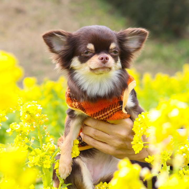 9b79fd2f 8482 4249 9cd5 4e0603814b91 1770801883686