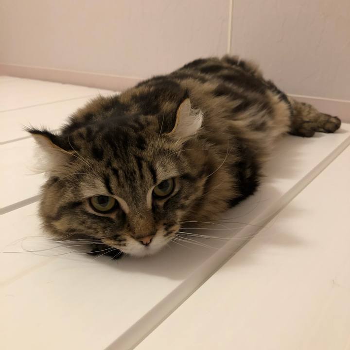 9b7a1b03 c09d 4c5e 83fd 3418667296fe 1574213867932