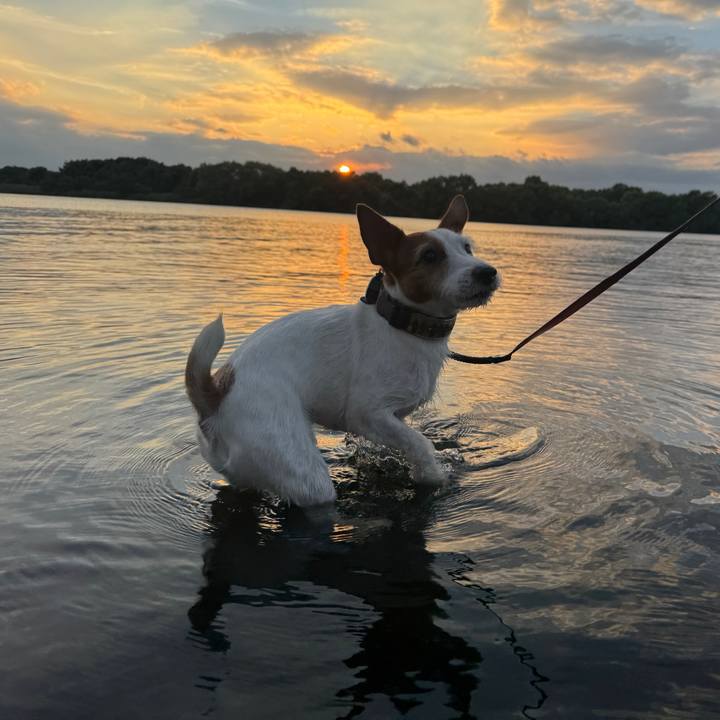 9b7a2979 7158 4822 bbf5 dc395039de16 1760358521151