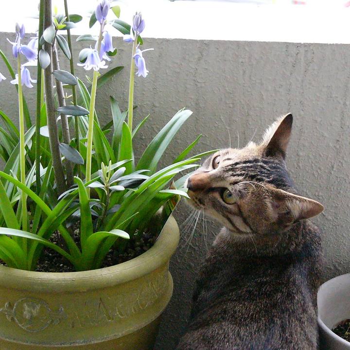 9b7a3b83 3d0b 4812 b1be 74e7b4803102 1559274493821