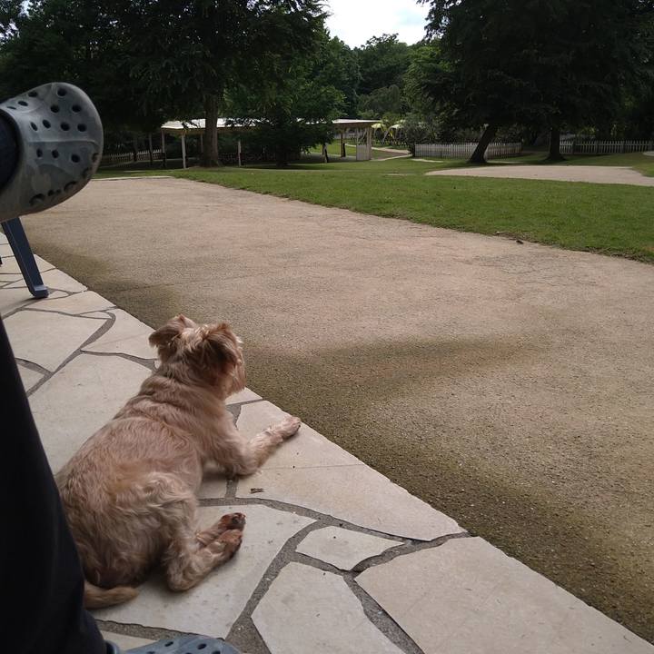 9b7a5ad7 7de2 4d68 8c39 179db23d415b 1624838277050