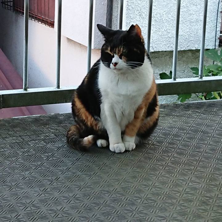 9b7a6cc4 29a7 4d65 a191 04fad4048711 1604445303357