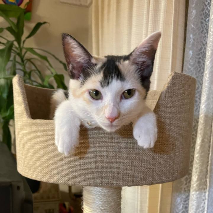 9b7a7a69 8325 4645 a5b5 b34b06ec85b4 1660903175585