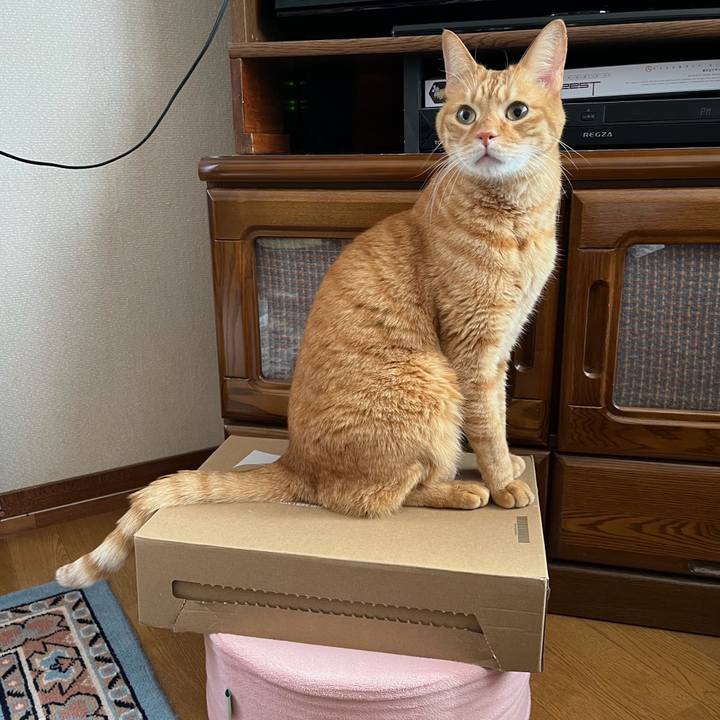 9b7a8914 f980 4661 af22 3a335e50d8d5 1763105050000