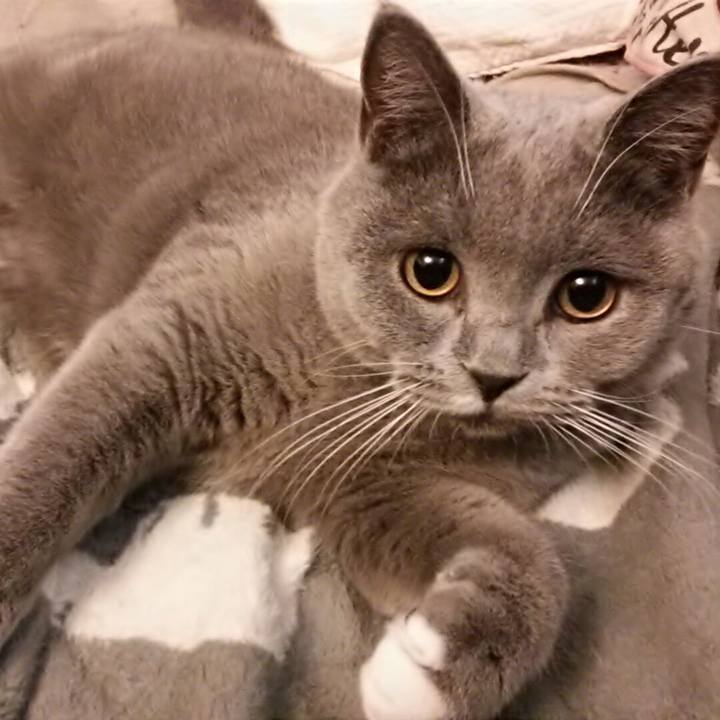 9b7a8fad 71ab 424e ba95 ad6ca3d5ff90 1546930261655