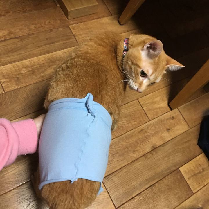 9b7a90c4 78f5 495d acfc 4db57c6fe2d8 1520946153466