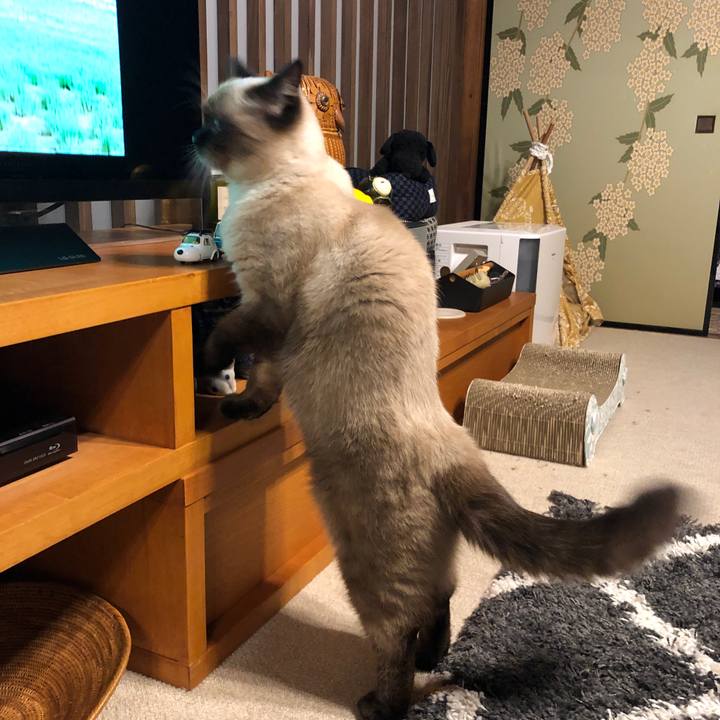 9b7a964e c5ba 43bf 9b76 48219eeb8627 1605609495656