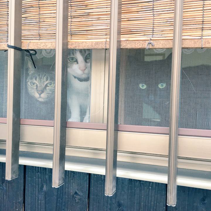 9b7a9a55 23ce 41b0 9469 c18dbbc4c672 1538871077559