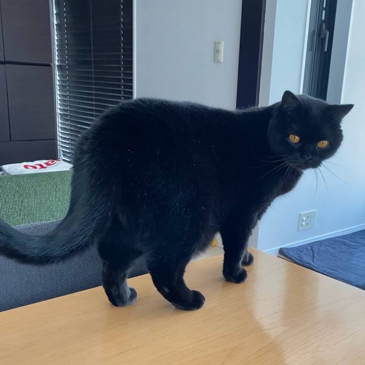 9b7a9e8c 5f7b 4541 9fd8 cee747888e3b 1613533818926