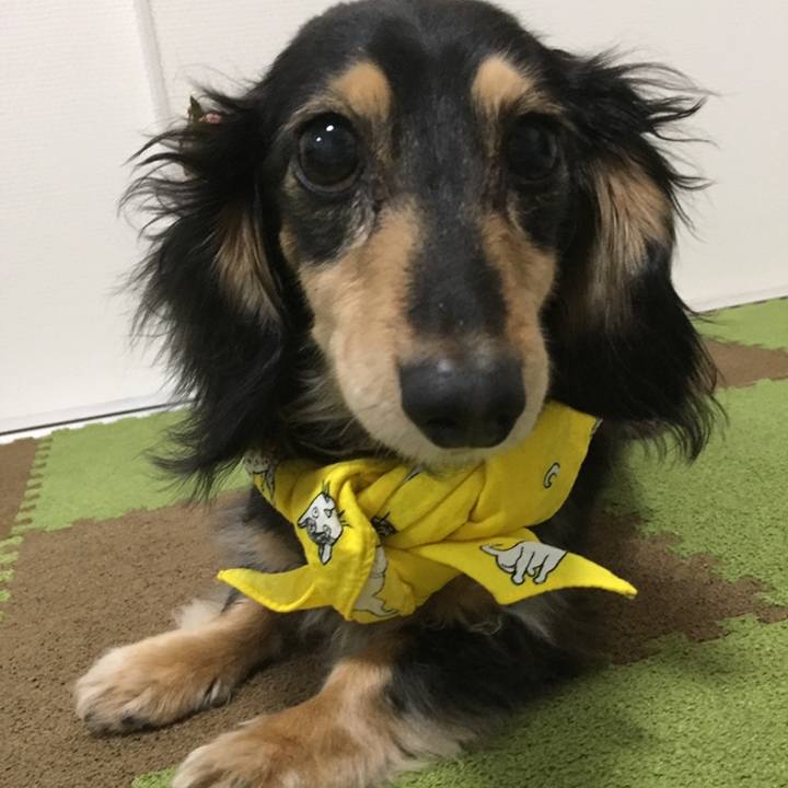 9b7aa096 8a16 410f befc a6acfb62c7af 1553174091766