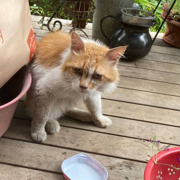 9b7acb9a 7c6f 4133 a13c fc563cce12e5 1657065288588