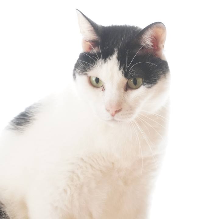 9b7ad051 c339 4cf1 af97 32e67bd7c1d5 1601094447542