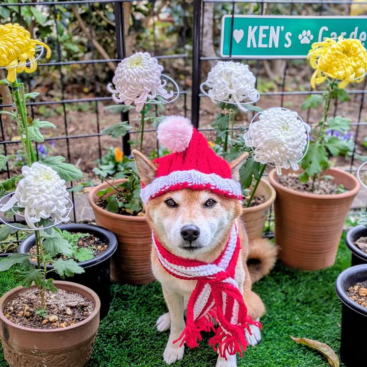 9b7ae4c0 8a05 4c45 ac05 5d2598d0fe0b 1764747603717