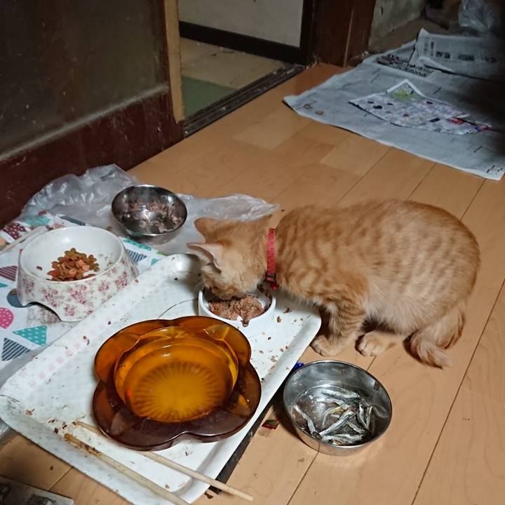 9b7b2c7b 9186 45f4 9df3 90b855329a08 1632775204145