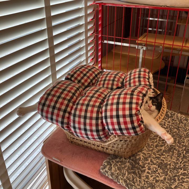 9b7b31d3 9d46 4f5a b73b cb659d741b40 1764108718472