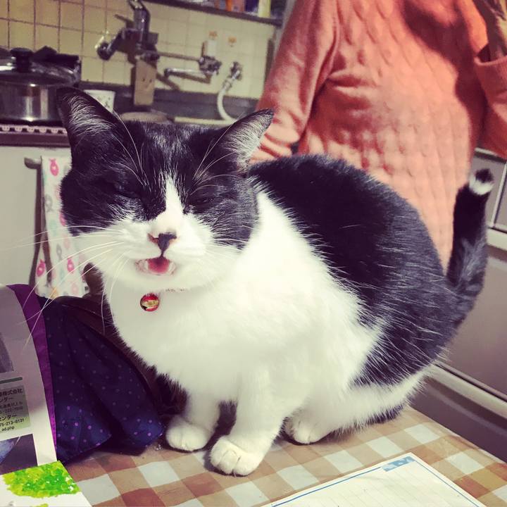 9b7b32aa 7ac7 4485 b082 0ca39bf8952b 1556616111005