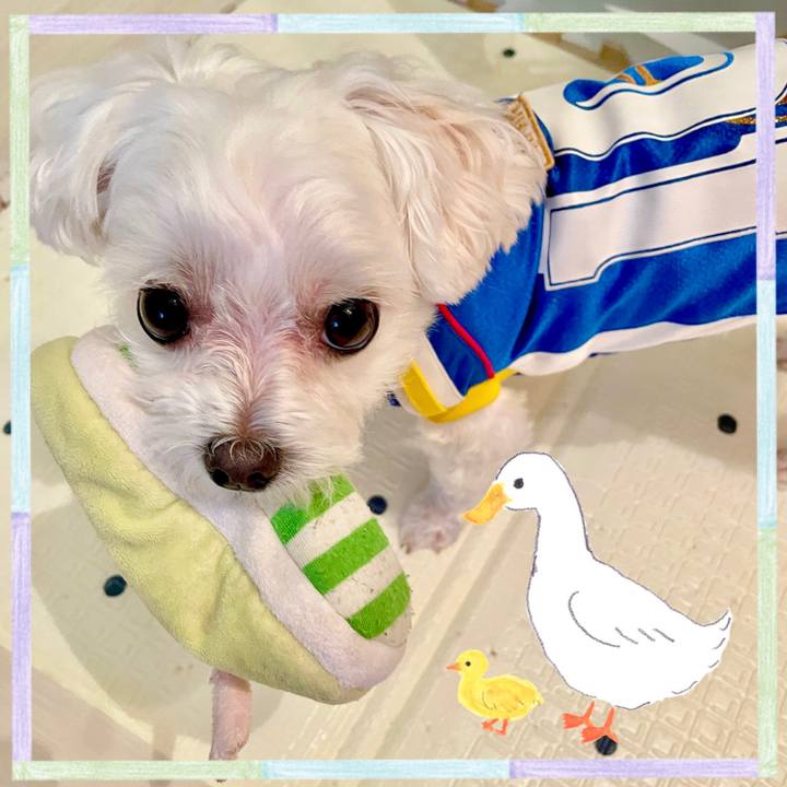 9b7b477e 51ac 40d7 a721 be4eb1165f86 1636441991144