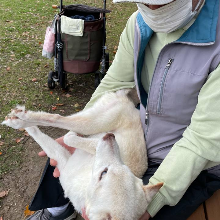 9b7b94b0 93a0 4651 b78f 2ee9e35705a8 1679566717210