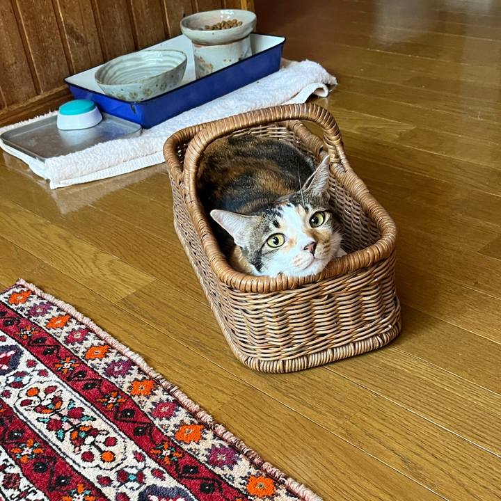 9b7bdba1 c492 4d49 a5b8 1829657261fd 1759465873794