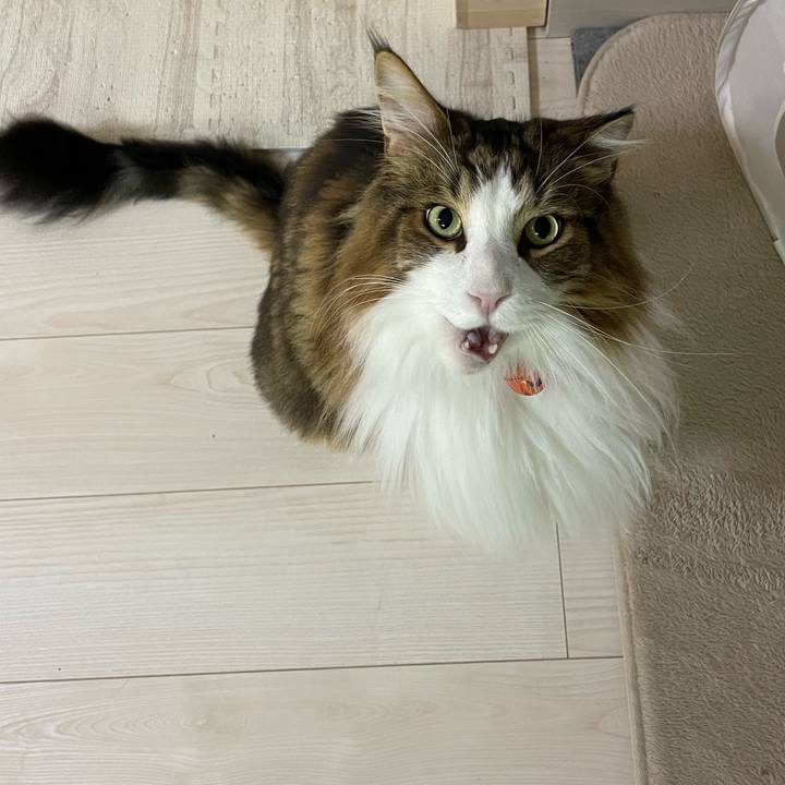 9b7be7b1 ae99 4057 aecb 00ed4d9183e9 1727640263328