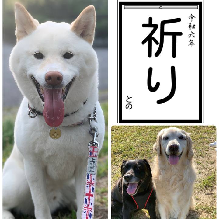 9b7beef5 1012 4e9d a641 4f8f53a3cf18 1704868103634