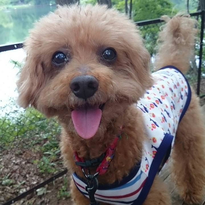 9b7c0518 ba9a 4fdc 8b59 780f3b589739 1527644786424