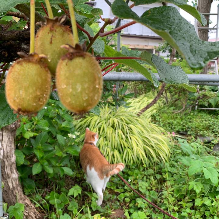 9b7c4e4f 2883 4129 af77 90ad1f29feca 1594108702050