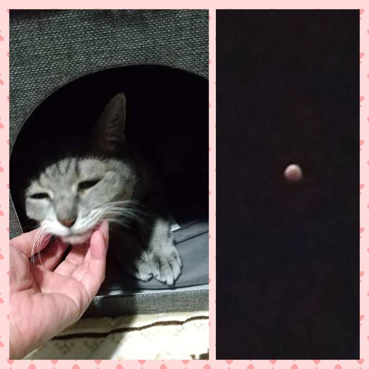 9b7c4f28 4e4b 4fa4 97f8 1c3bfdd122de 1667903801939