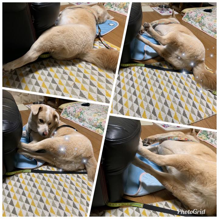 9b7c571d 409f 4066 b2e1 62e20a0f4b92 1569507792309