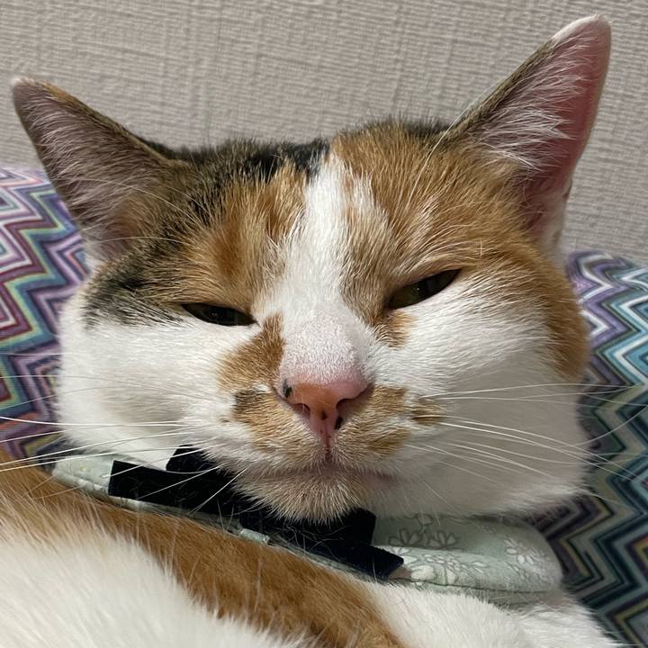 9b7c5bf6 e24f 4e58 b7e9 38b96ede0eed 1668865909275