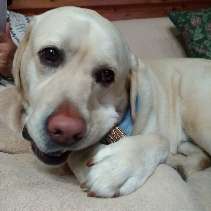 9b7cbed9 8295 4ba5 a02f c240a1262813 1587194410493