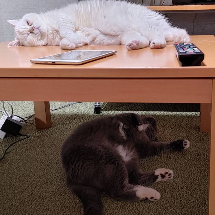 9b7ccf8a cc21 44a8 b1ef 98e00a1e121f 1725808052513