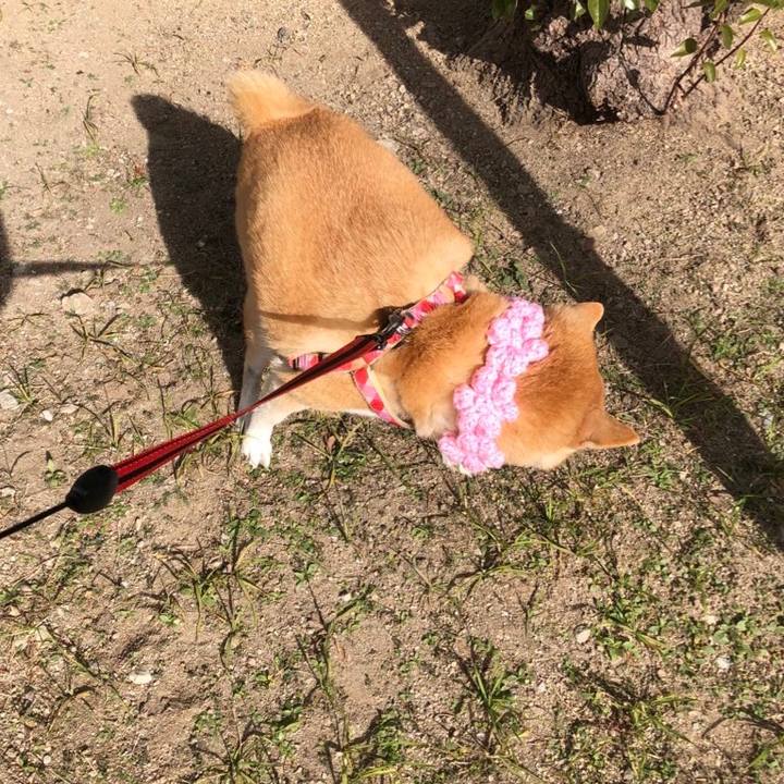 9b7ccfce e6ae 400e 8d6b 49aaa52092cc 1608350328337