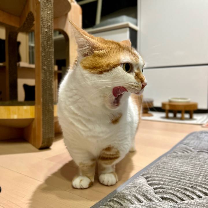 9b7cd3fe 06bf 4d35 9104 f32262552a62 1760672794035