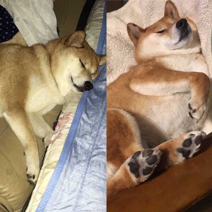 9b7d38da 4d71 4e62 96a6 792f6767a7c7 1568418566546